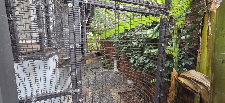 4 Bedroom Property for Sale in Monument Heights Northern Cape